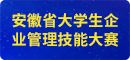 安徽省大学生企业管理技能大赛